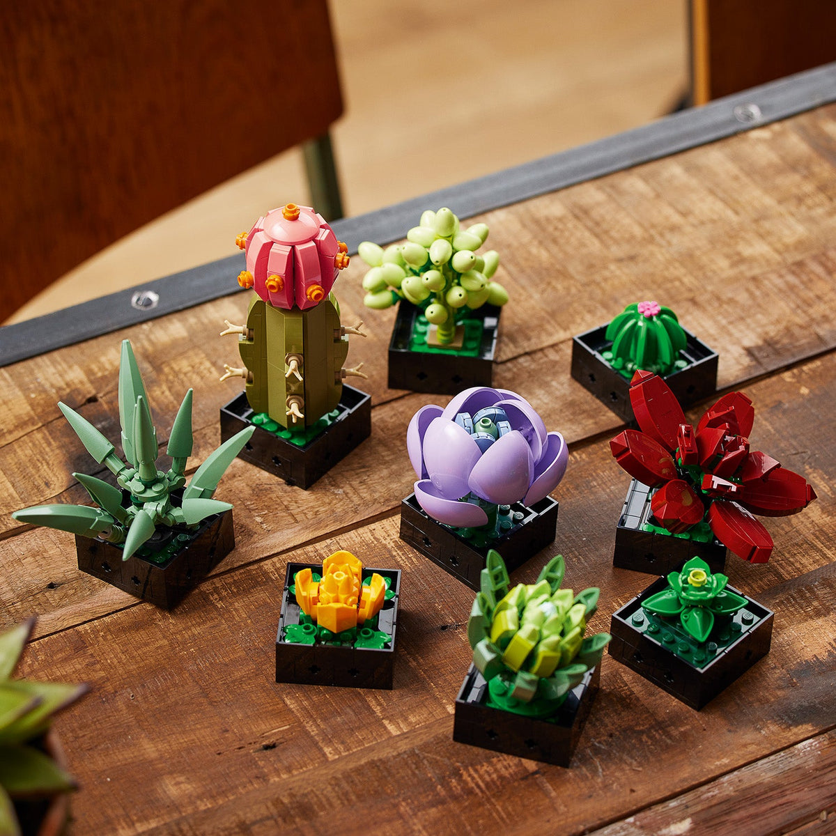LEGO? Succulents