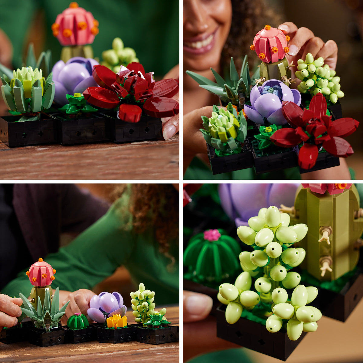 LEGO? Succulents