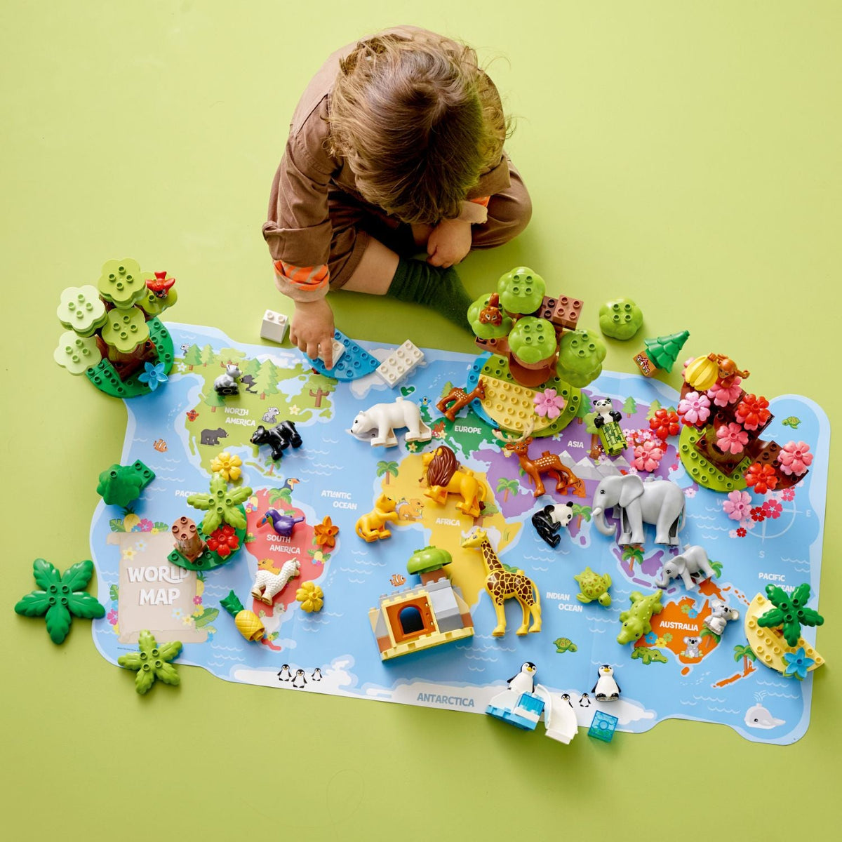 LEGO? DUPLO? Wild Animals of the World