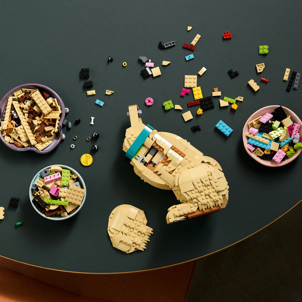 LEGO? Icons Golden Retriever Puppy