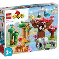 LEGO? DUPLO? Wild Animals of Asia