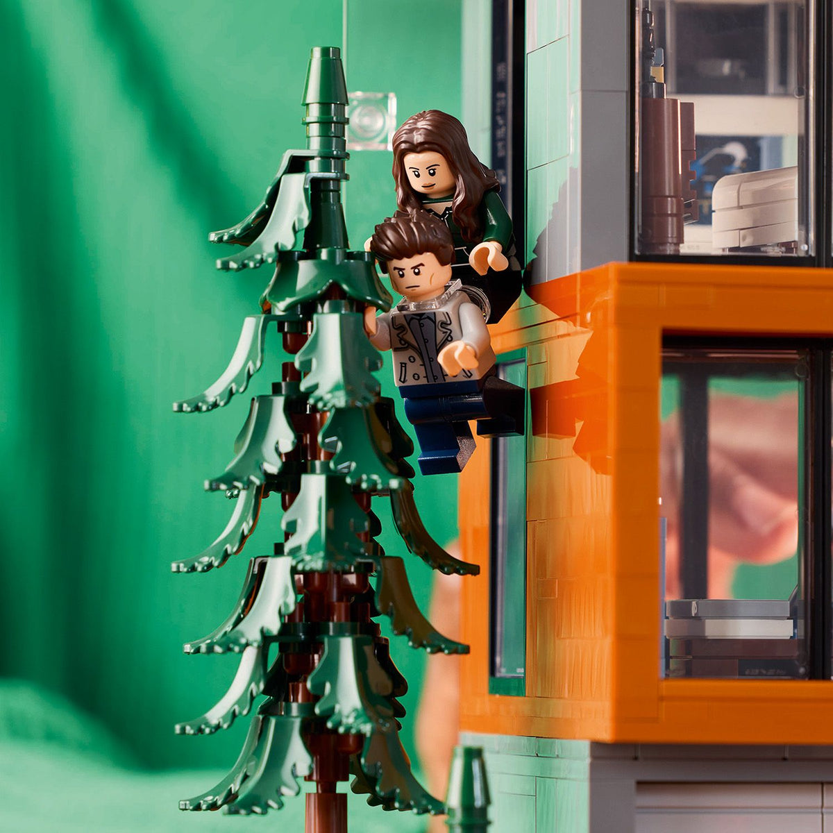 LEGO? Ideas Twilight The Cullen House