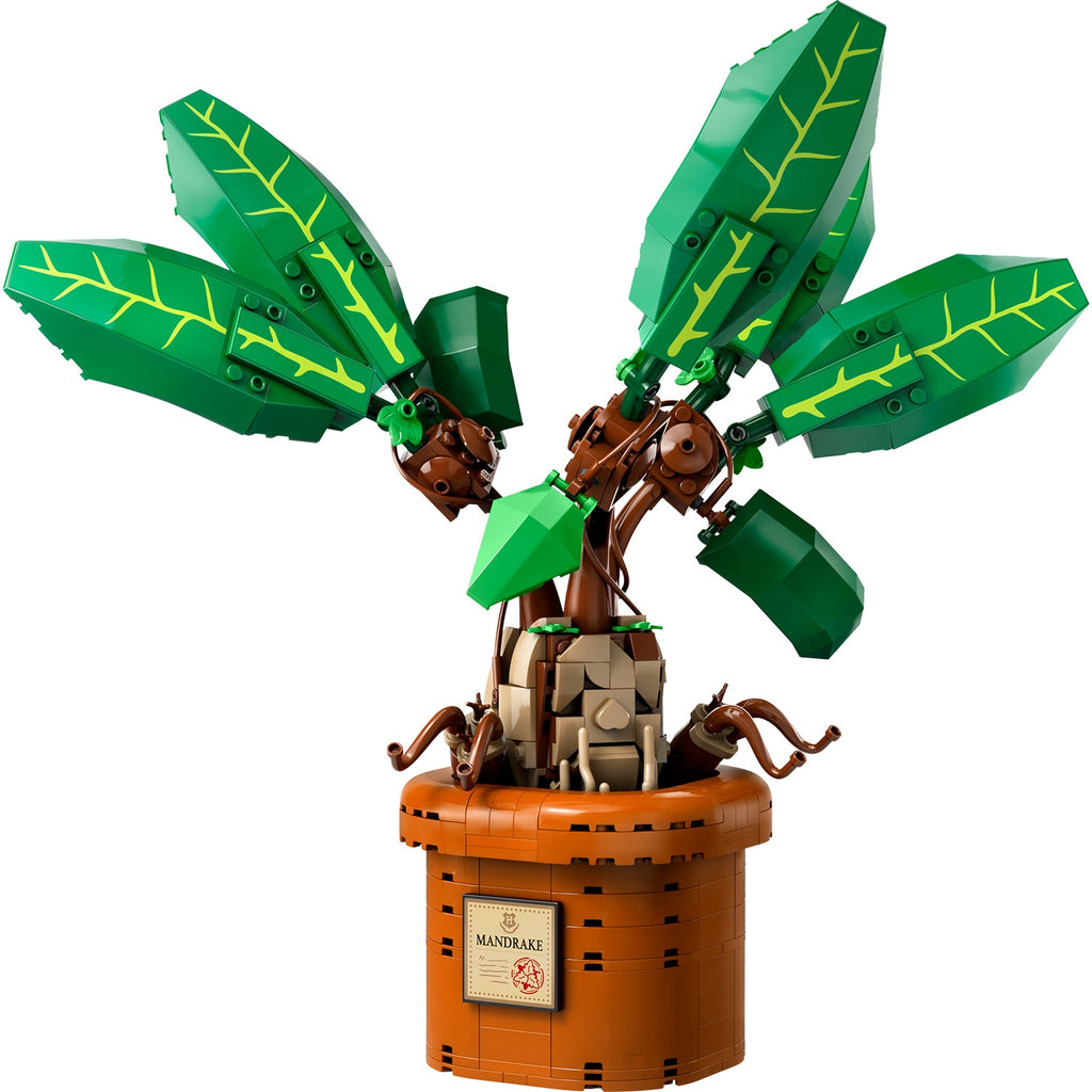 LEGO? Harry Potter? Mandrake