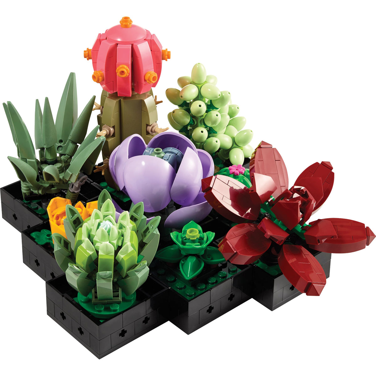 LEGO? Succulents