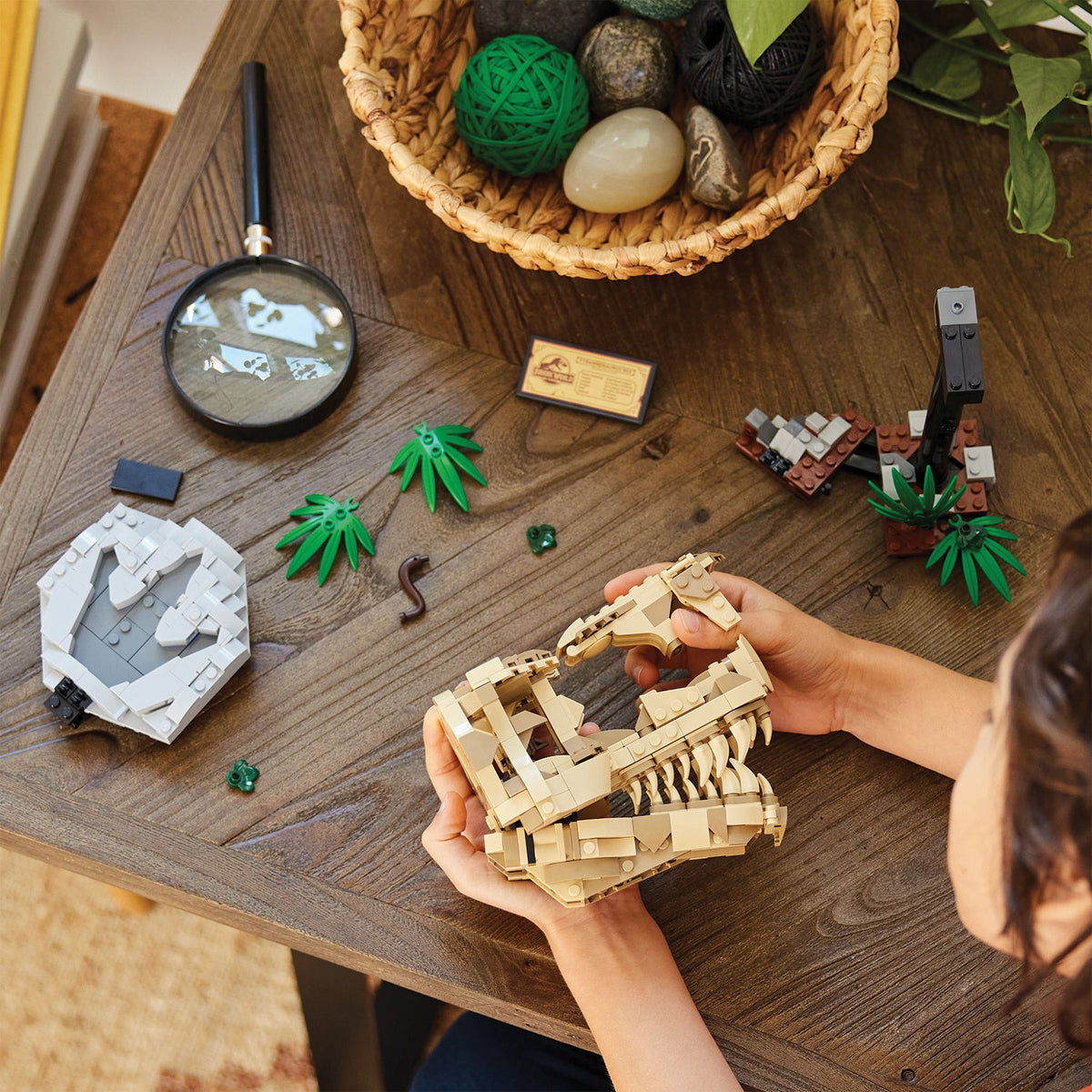 LEGO? Jurassic World Dinosaur Fossils: T. rex Skull