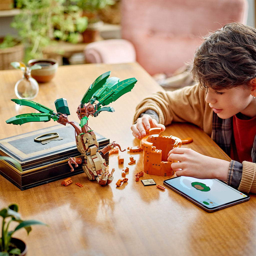 LEGO? Harry Potter? Mandrake
