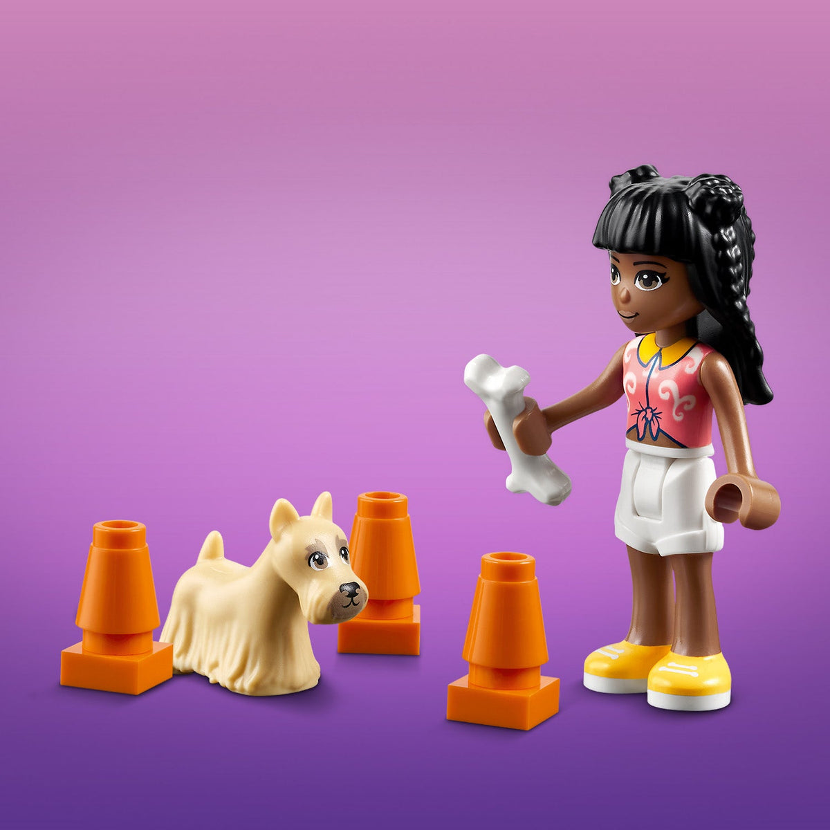 LEGO? Friends? Pet Day-Care