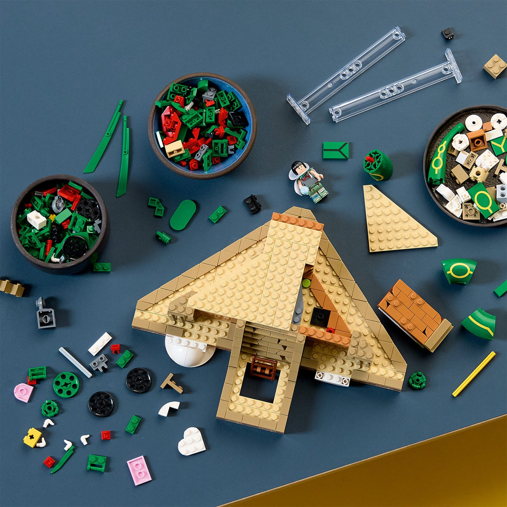 LEGO? Pok¨¦mon? Rayquaza