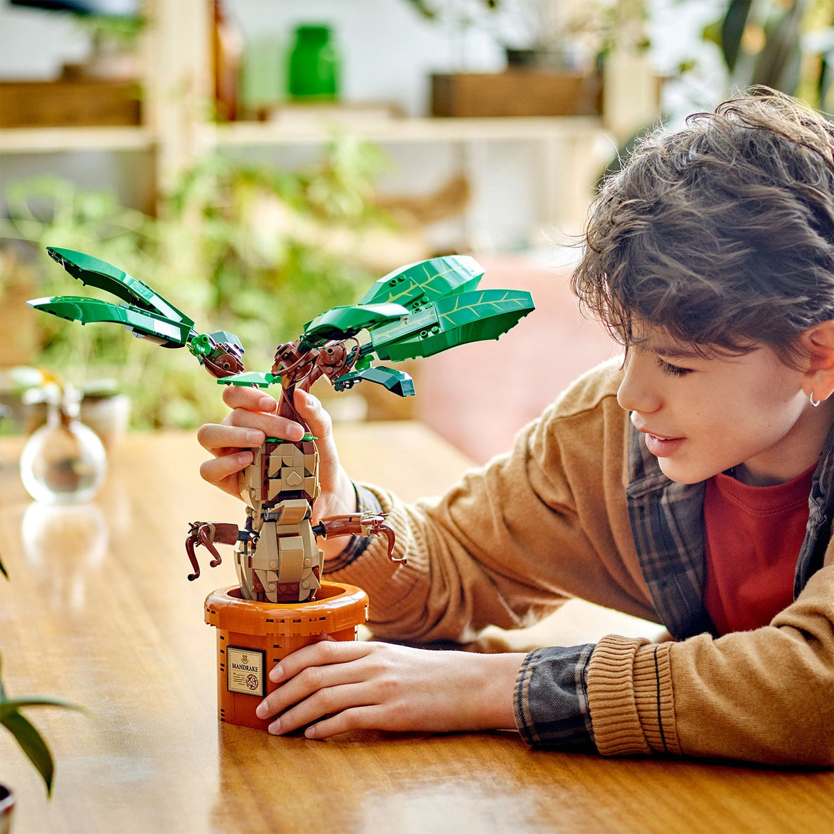 LEGO? Harry Potter? Mandrake