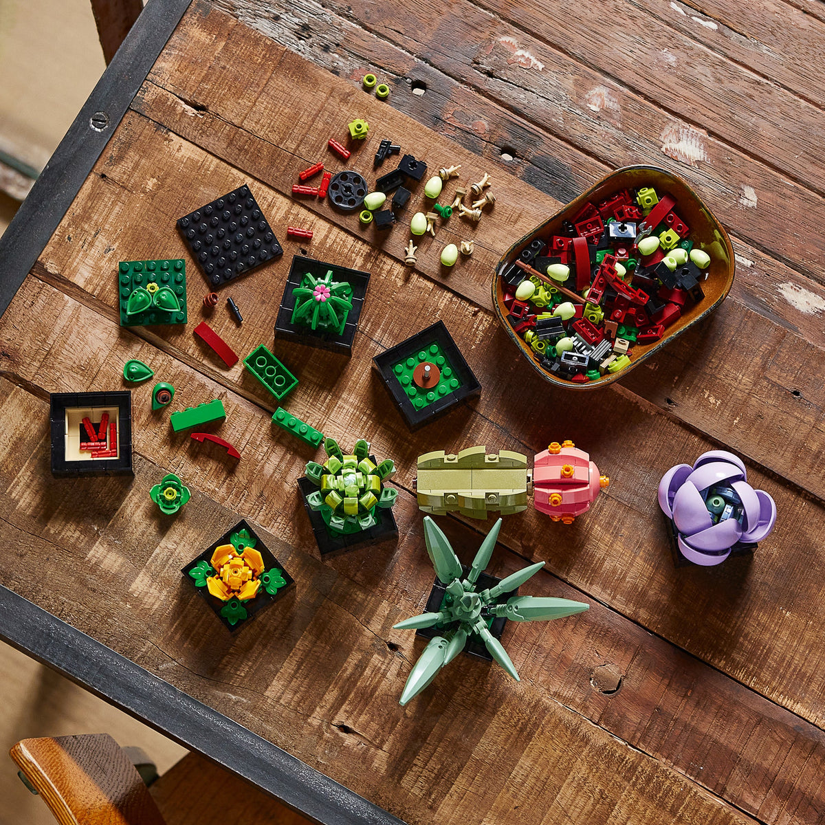 LEGO? Succulents