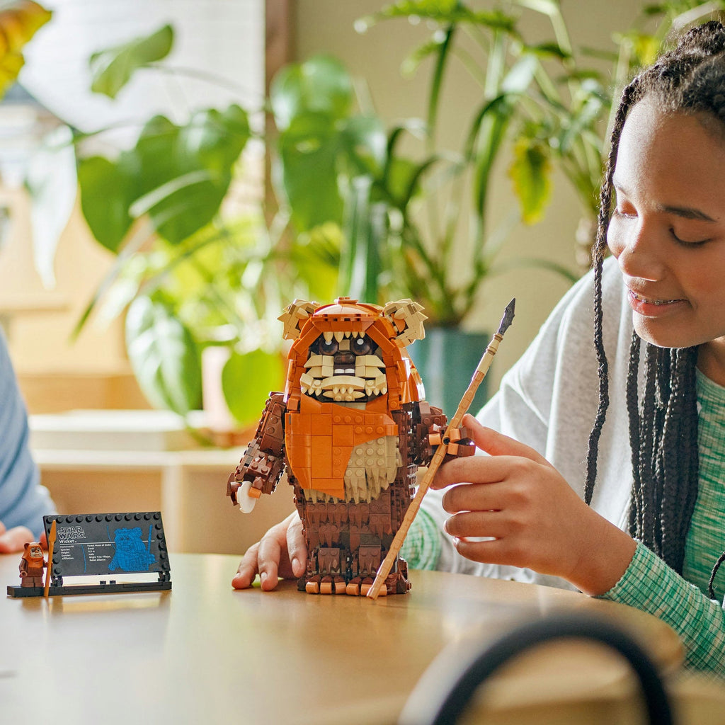 LEGO? Star Wars? Wicket the Ewok?