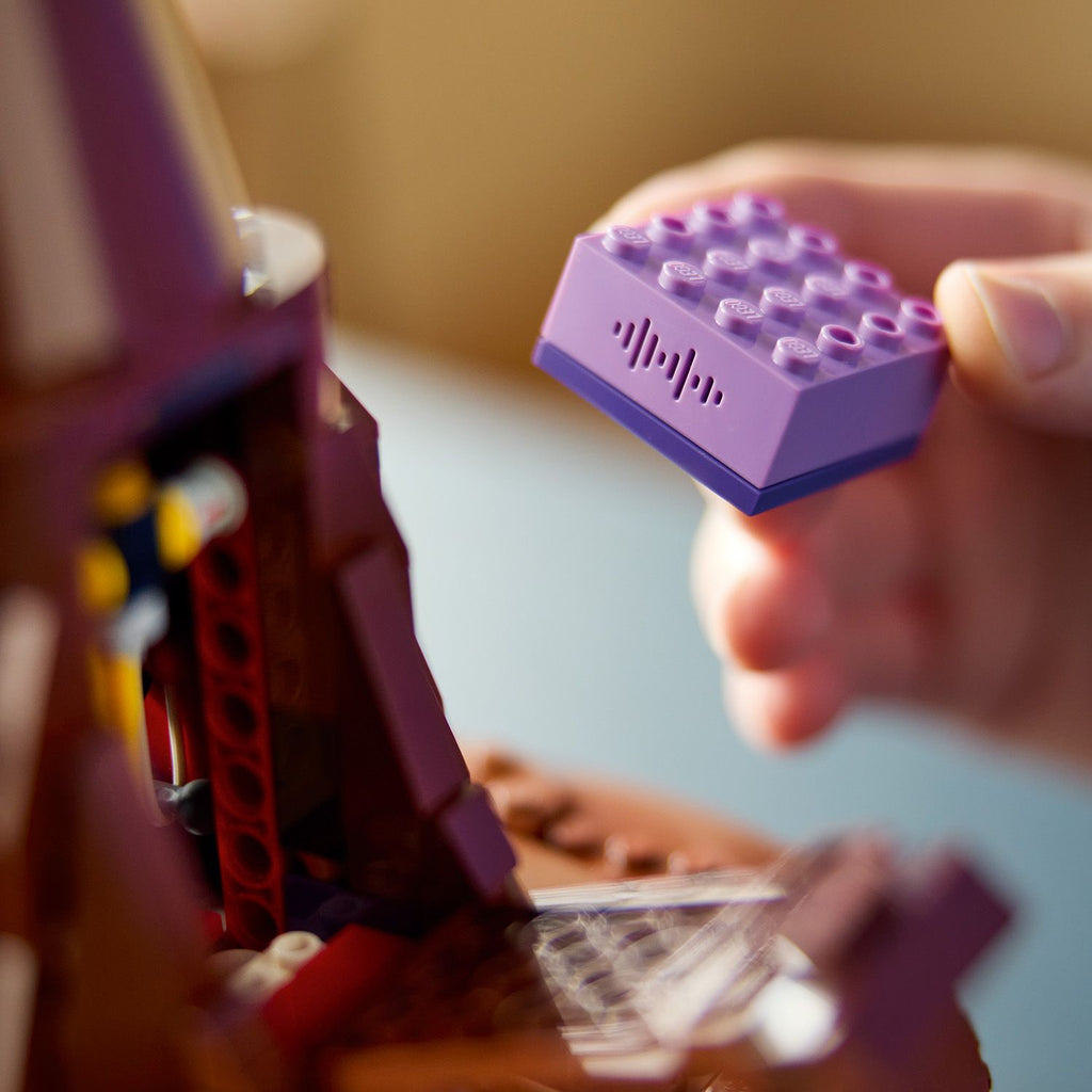 LEGO? Harry Potter? Talking Sorting Hat?