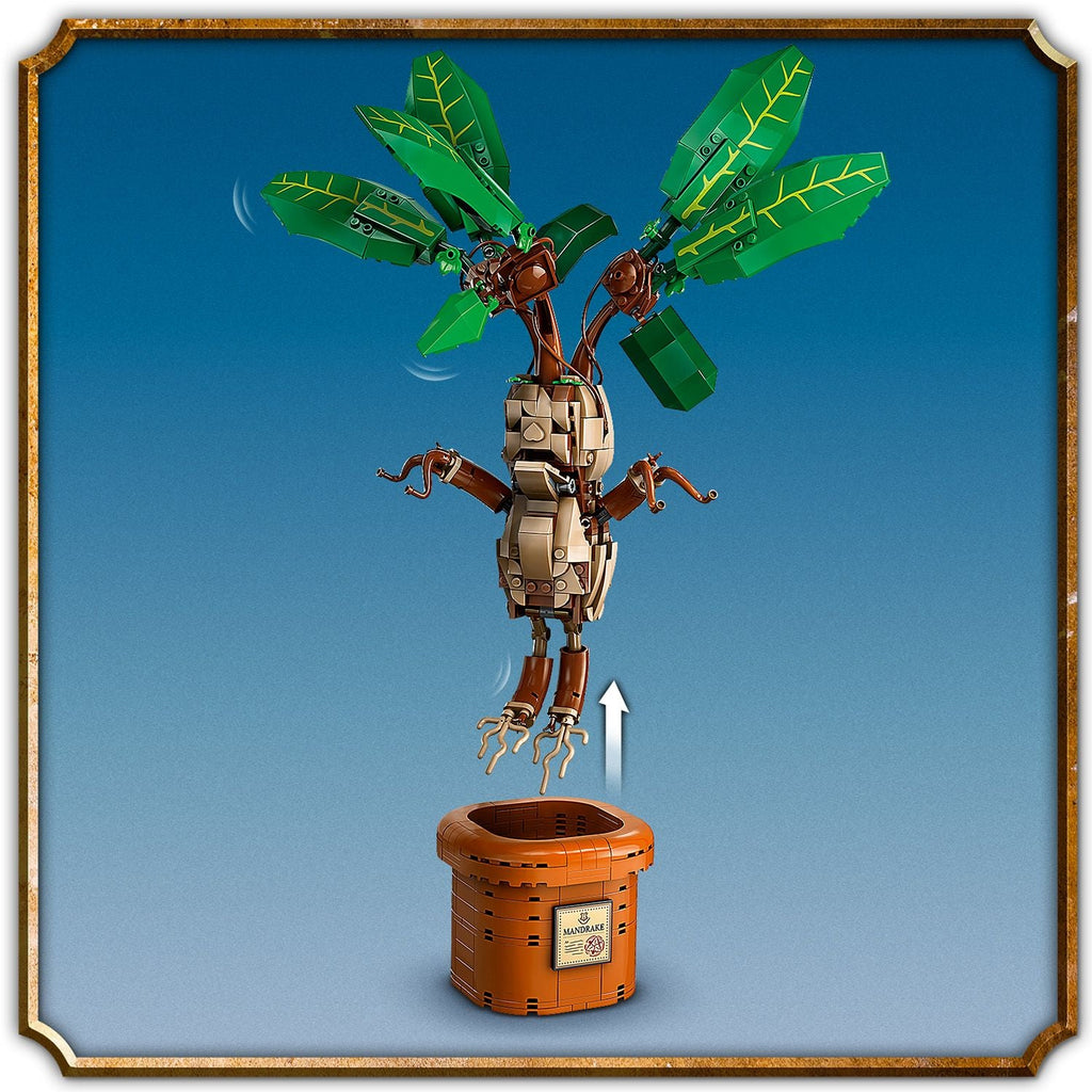 LEGO? Harry Potter? Mandrake