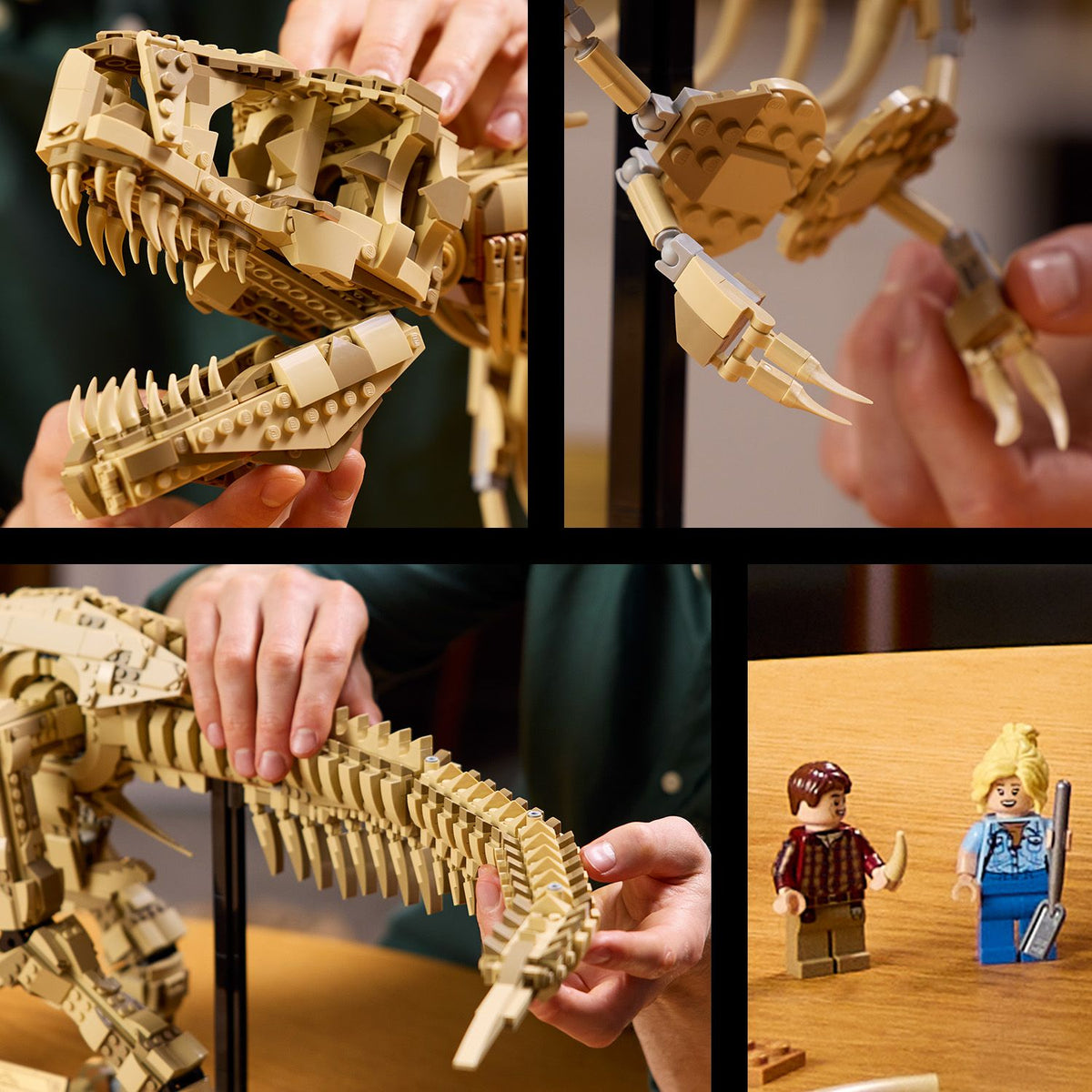 LEGO? Jurassic World Dinosaur Fossils: Tyrannosaurus rex