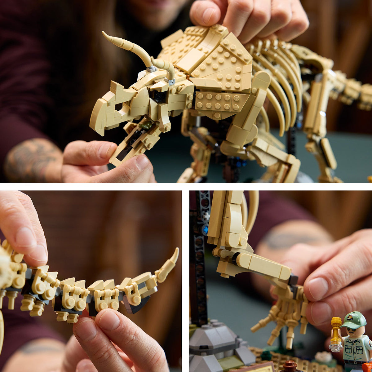 LEGO? Jurassic World Dinosaur Fossils: Triceratops