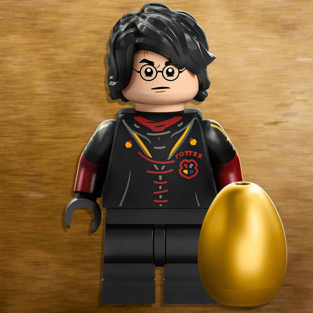 LEGO? Harry Potter? Hungarian Horntail Dragon