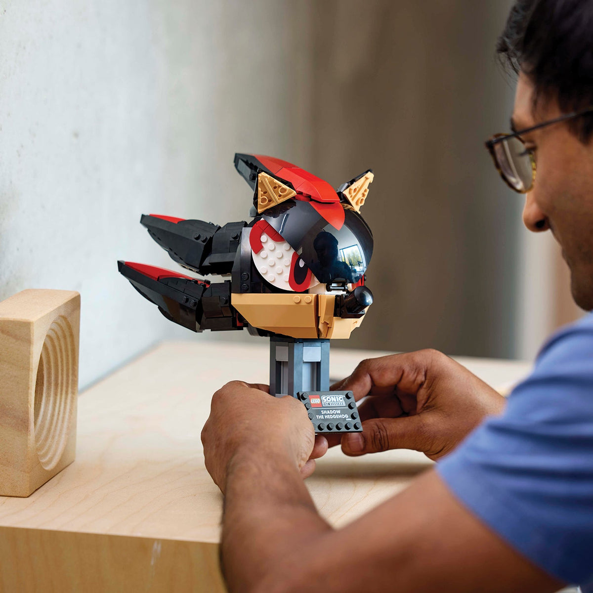 LEGO? Sonic the Hedgehog? Shadow the Hedgehog