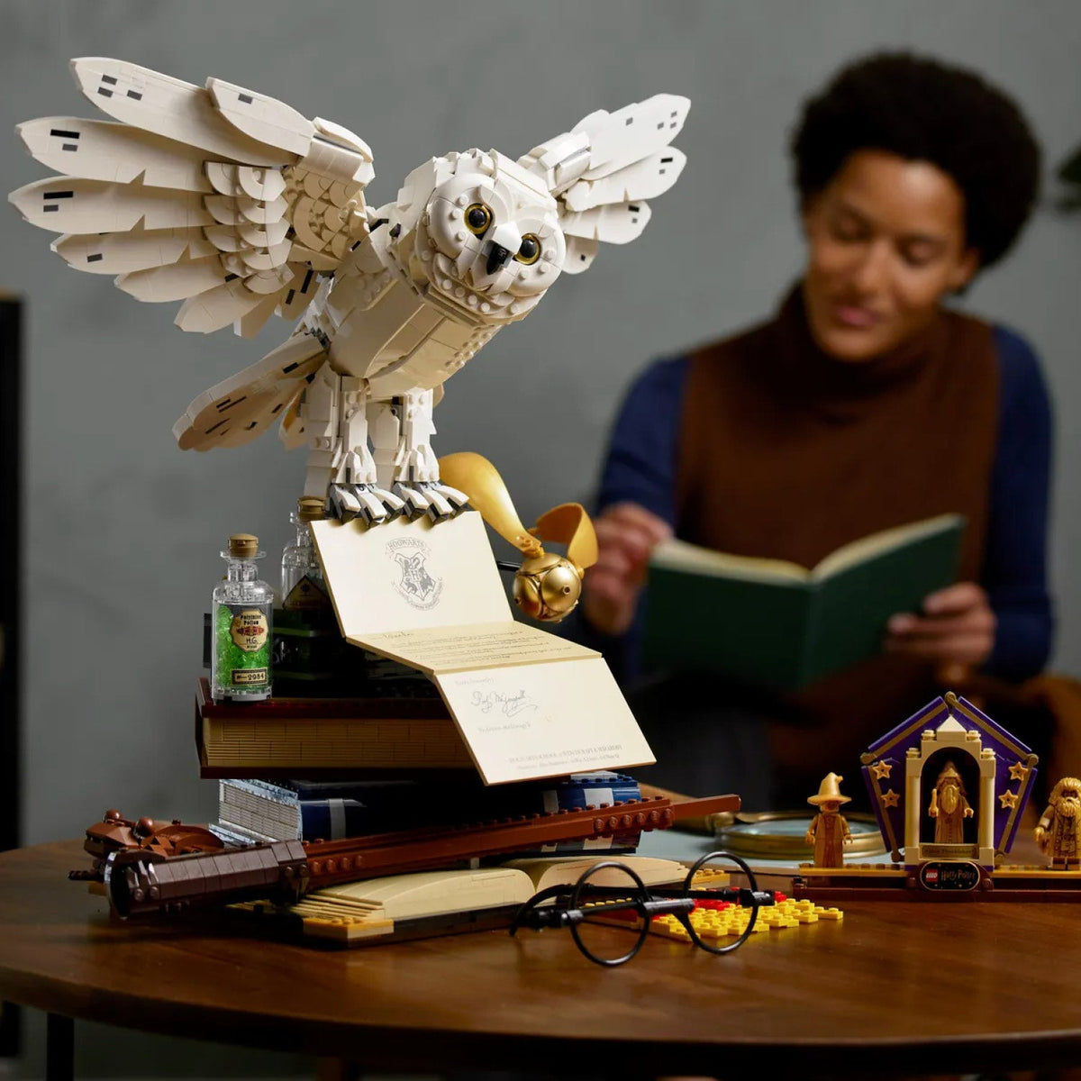 LEGO? Harry Potter? Hogwarts? Icons - Collectors Edition