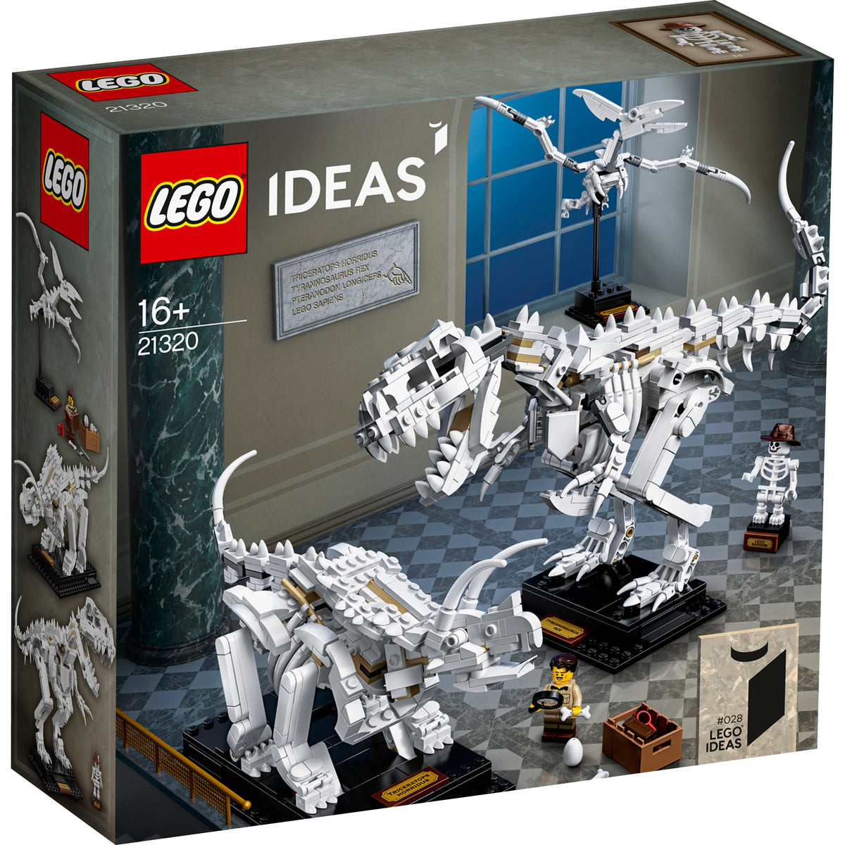 LEGO? Ideas Dinosaur Fossils