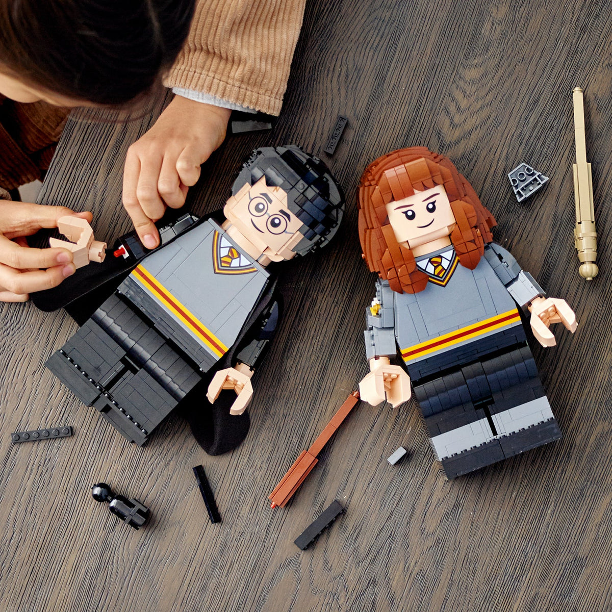 LEGO? Harry Potter & Hermione Granger?