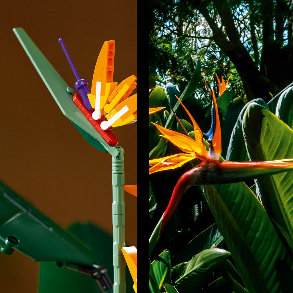 LEGO? Bird of Paradise