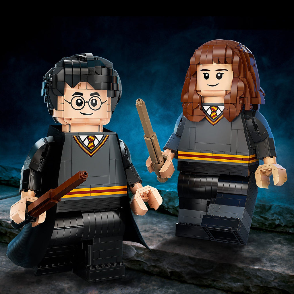 LEGO? Harry Potter & Hermione Granger?